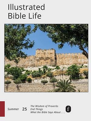 Picture of Faith Connections Illustrated Bible Life June/July/August 2025)