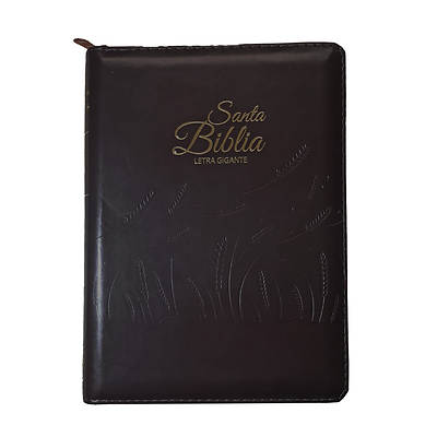 Picture of Santa Biblia