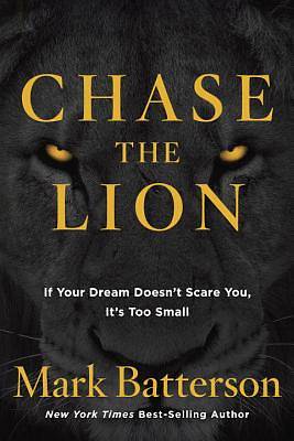 Picture of Chase the Lion
