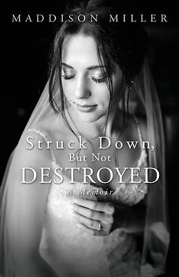 Picture of Struck Down, But Not Destroyed
