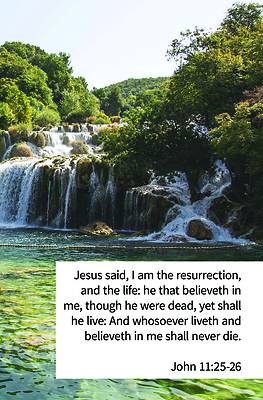 Picture of Liveth and Believeth Bulletin (Pkg 100) Funeral