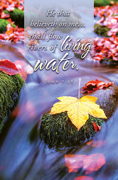 Picture of Living Water General Regular Size Bulletin