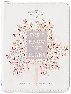 Picture of For I Know the Plans