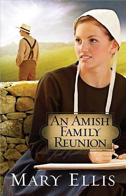 Picture of An Amish Family Reunion