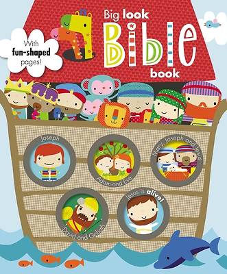 Picture of Big Look Bible Book
