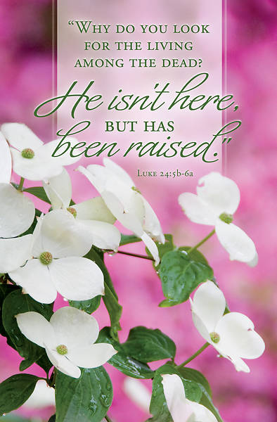 Picture of He Isn't Here Easter Bulletin (Pkg of 50)