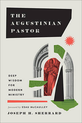Picture of The Augustinian Pastor