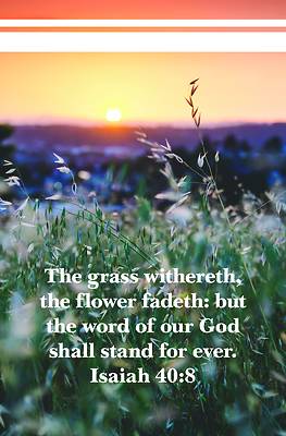 Picture of The Word of Our God Bulletin (Pkg 100) General Worship