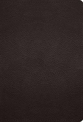 Picture of ESV Large Print Compact Bible, Red Letter (Buffalo Leather, Deep Brown)