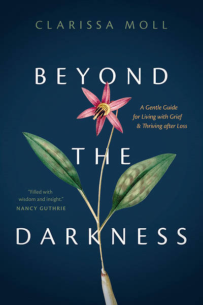 Picture of Beyond the Darkness