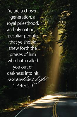 Picture of A Chosen Generation Bulletin (Pkg 100) General Worship