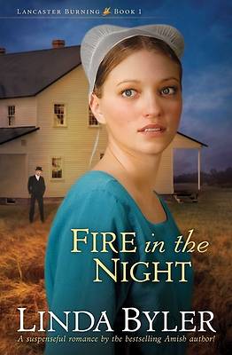 Picture of Fire in the Night