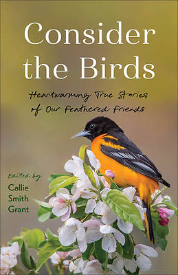 Picture of Consider the Birds