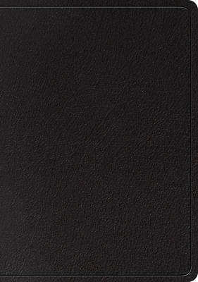 Picture of ESV Large Print Wide Margin Bible (Black)
