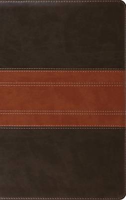 Picture of ESV Large Print Personal Size Bible, Red Letter, Indexed (Trutone, Forest/Tan, Trail Design)