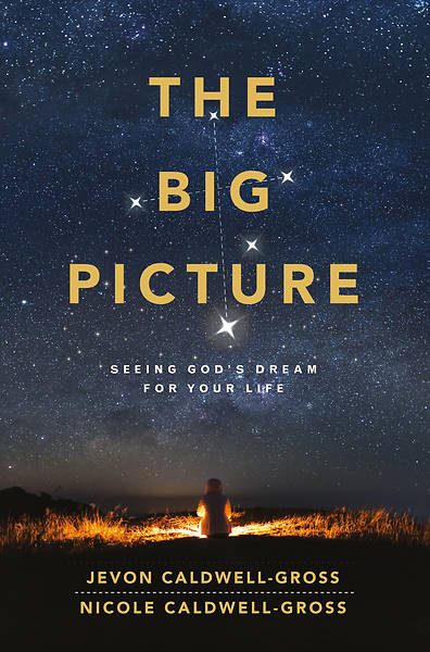 Picture of The Big Picture - eBook [ePub]