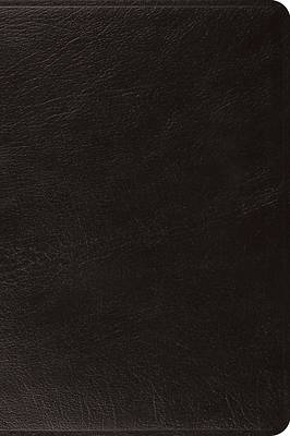 Picture of ESV Large Print Bible (Top Grain Leather, Black)
