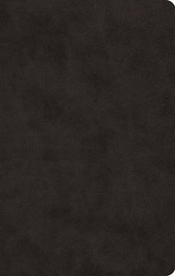 Picture of ESV Large Print Value Thinline Bible (Trutone, Black)