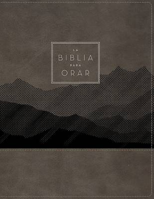 Rvr60, La Biblia Para Orar, Leathersoft, Gris, Palabras de Jesús En Rojo, Comfort Print