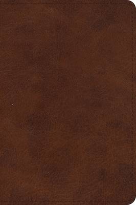 Picture of ESV Large Print Bible (Trutone, Deep Brown)